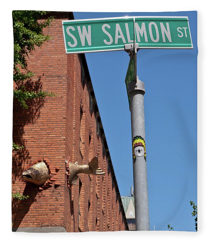 Urban Fleece Blanket featuring the photograph Salmon through a building by Frank DiMarco