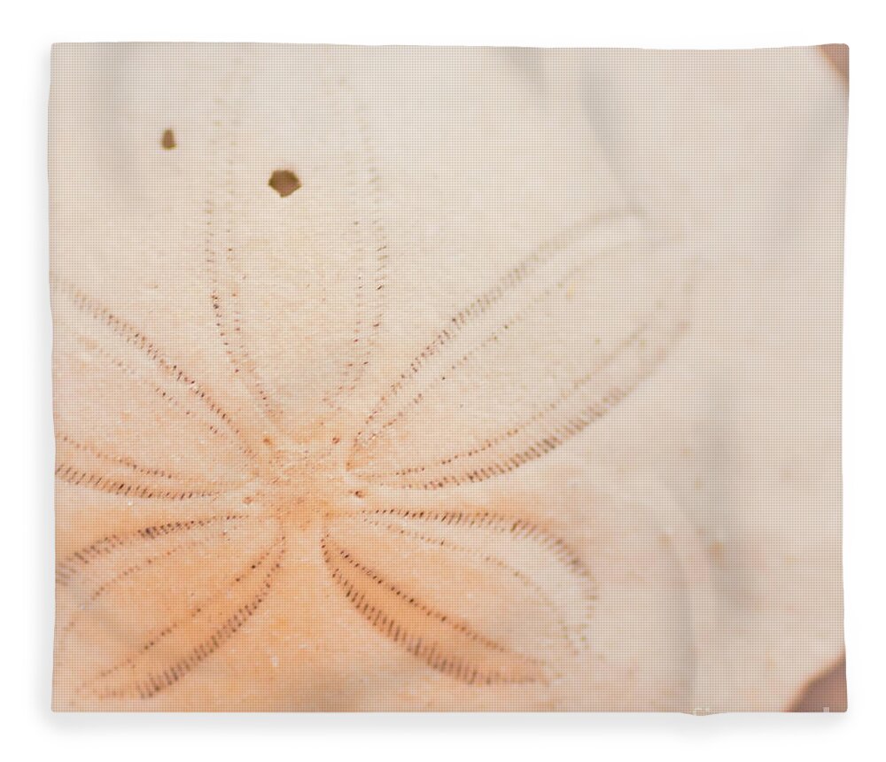 Seashell Fleece Blanket featuring the photograph Sand Dollar by Ana V Ramirez