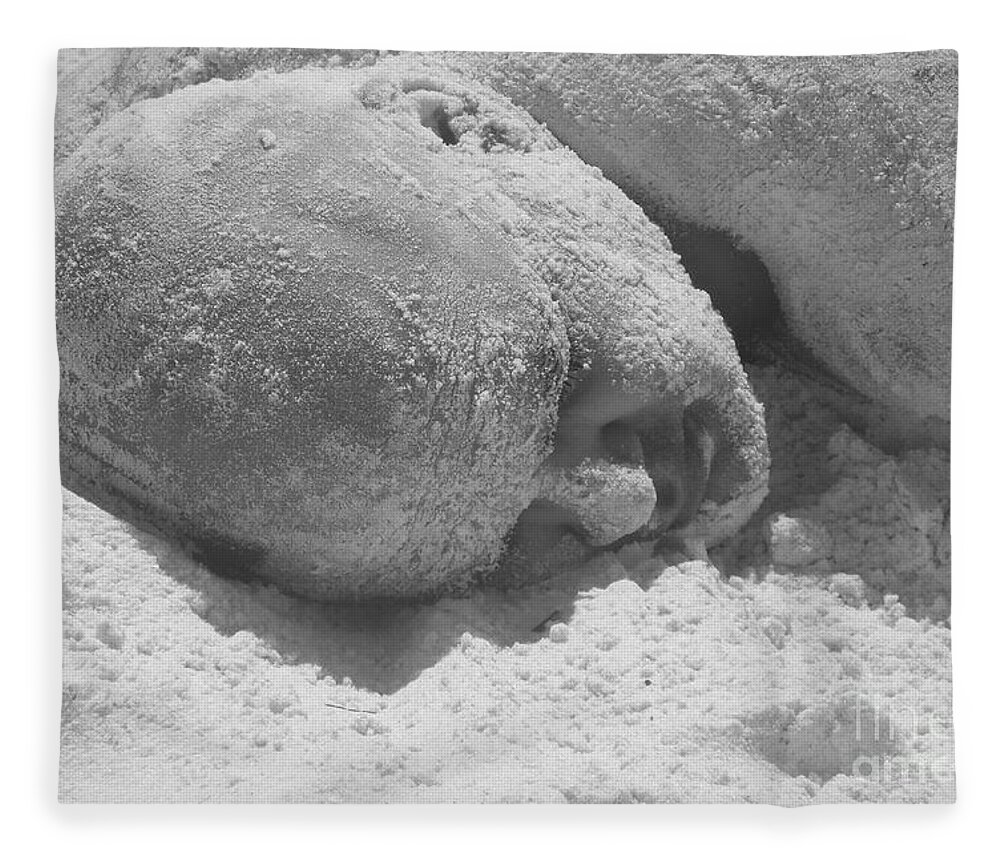 Beach Fleece Blanket featuring the photograph Sand Man by WaLdEmAr BoRrErO