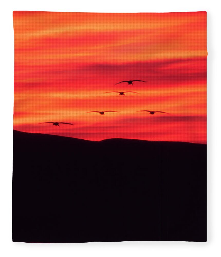Crane Fleece Blanket featuring the photograph Sandhill Cranes - Bosque del Apache - NM by Steven Ralser