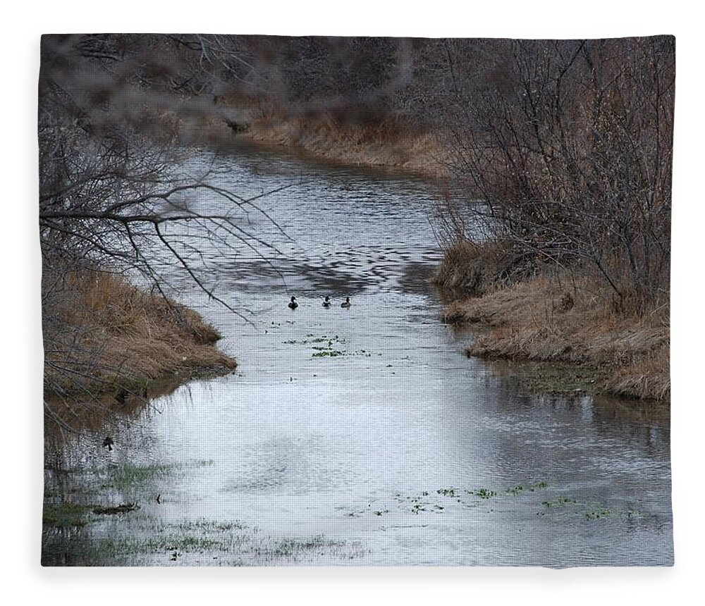 Birds Fleece Blanket featuring the photograph Sante Fe River by Rob Hans