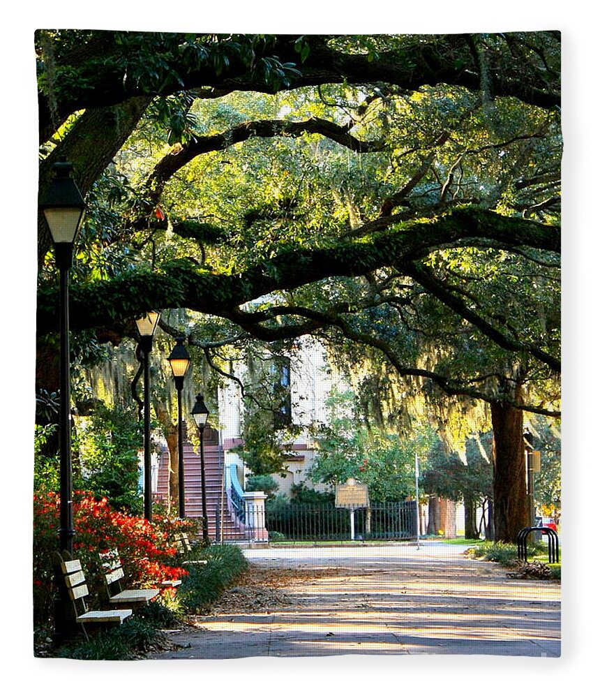 Savannah Fleece Blanket featuring the photograph Savannah Park Sidewalk by Carol Groenen