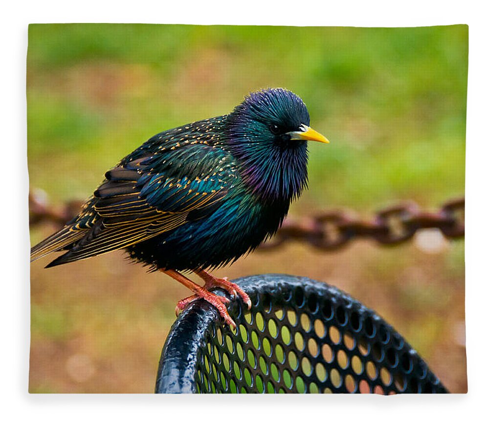 Bird Fleece Blanket featuring the photograph Saving A Seat by Christopher Holmes