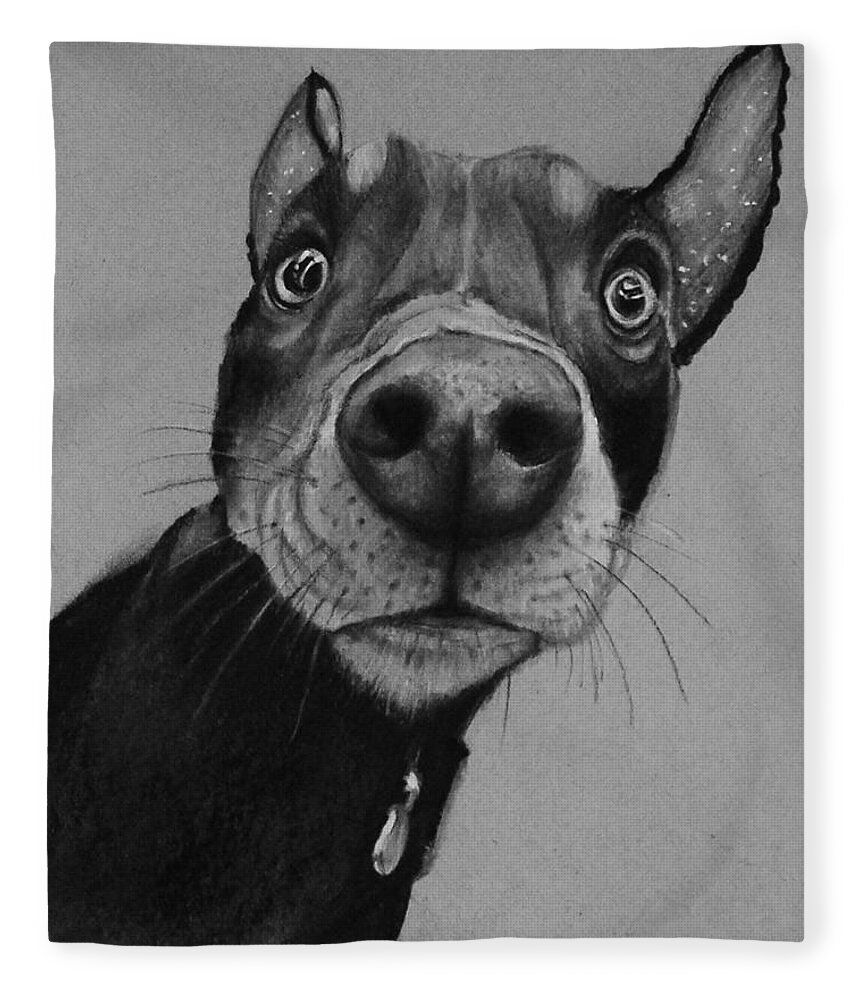 Dog Fleece Blanket featuring the drawing Say What? by Jean Cormier