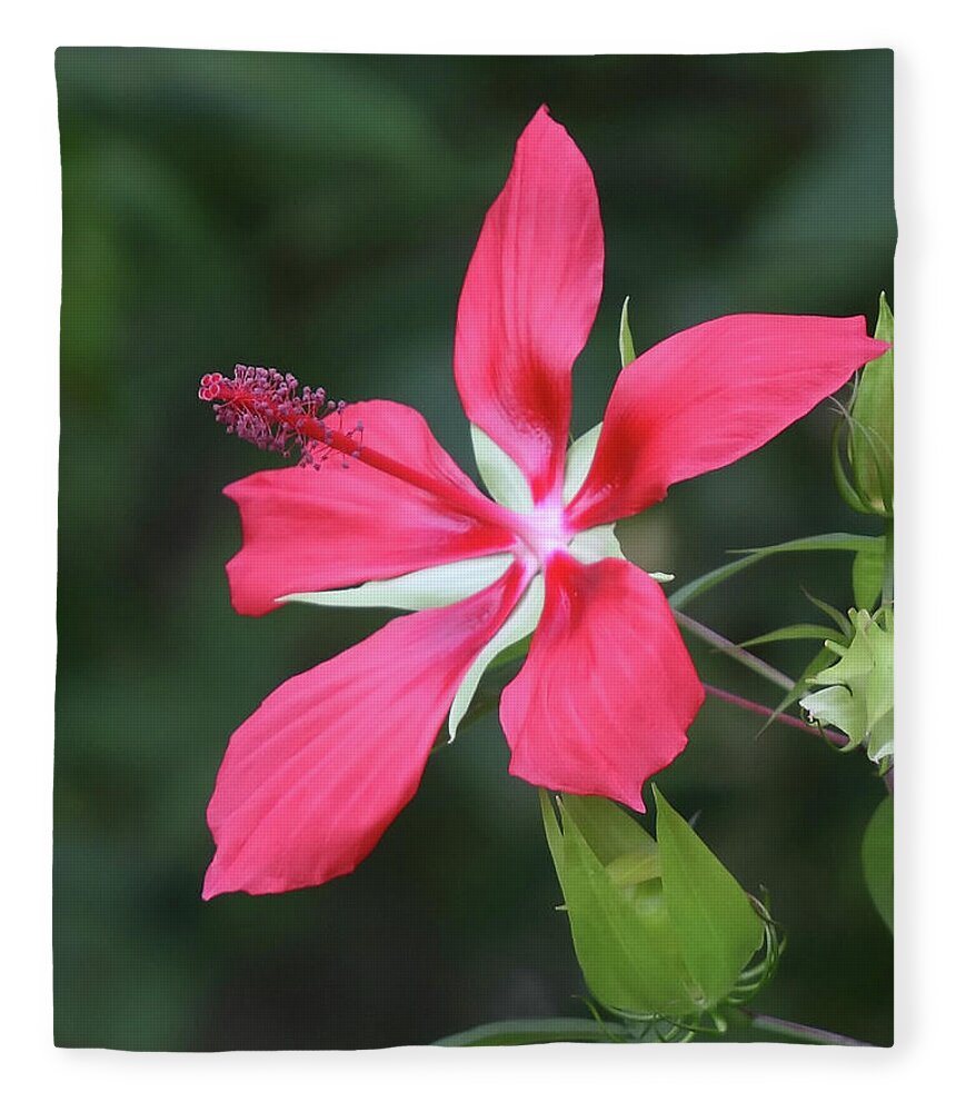 Scarlet Fleece Blanket featuring the photograph Scarlet Hibiscus #4 by Paul Rebmann