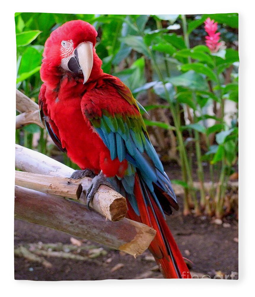 Mary Deal Fleece Blanket featuring the photograph Scarlet Macaw No 2 by Mary Deal