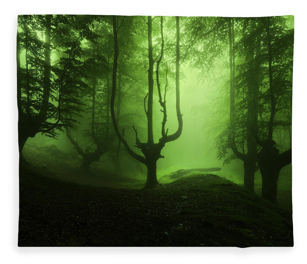 Horror Fleece Blanket featuring the photograph The funeral of trees by Mikel Martinez de Osaba