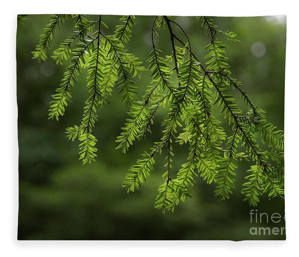 Pine Fleece Blanket featuring the photograph Scents Of Summer by Mike Eingle