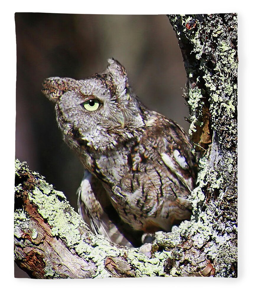 Screech Owl Fleece Blanket featuring the photograph Screech Owl by SC Shank