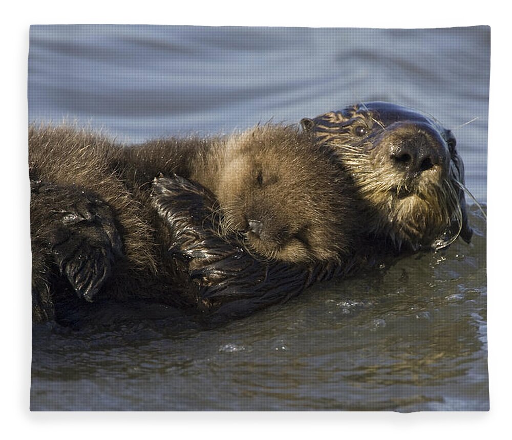 00438549 Fleece Blanket featuring the photograph Sea Otter Mother With Pup Monterey Bay by Suzi Eszterhas