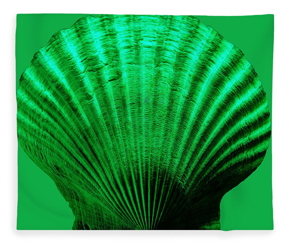 Sea Fleece Blanket featuring the photograph Sea Shell -Green by WAZgriffin Digital