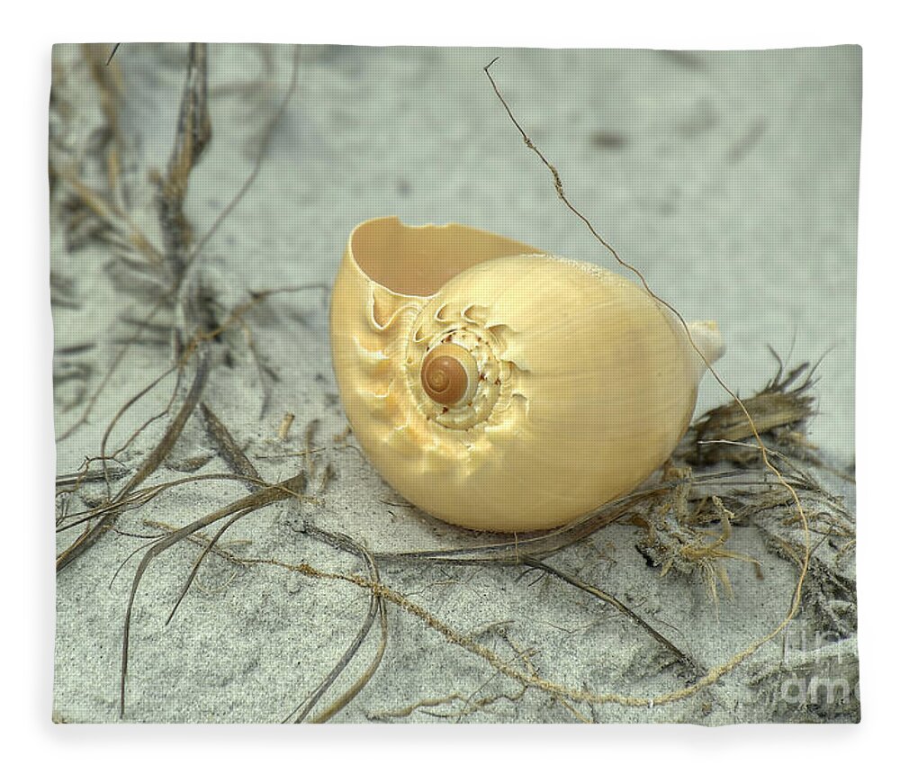 Shell Fleece Blanket featuring the photograph Sea Shell On The Beach by Kathy Baccari