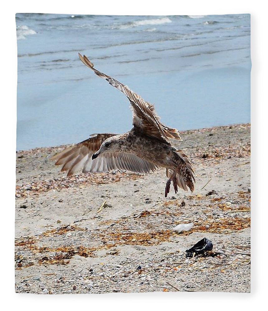 Beach Fleece Blanket featuring the photograph Seagull and Shadow by Dani McEvoy