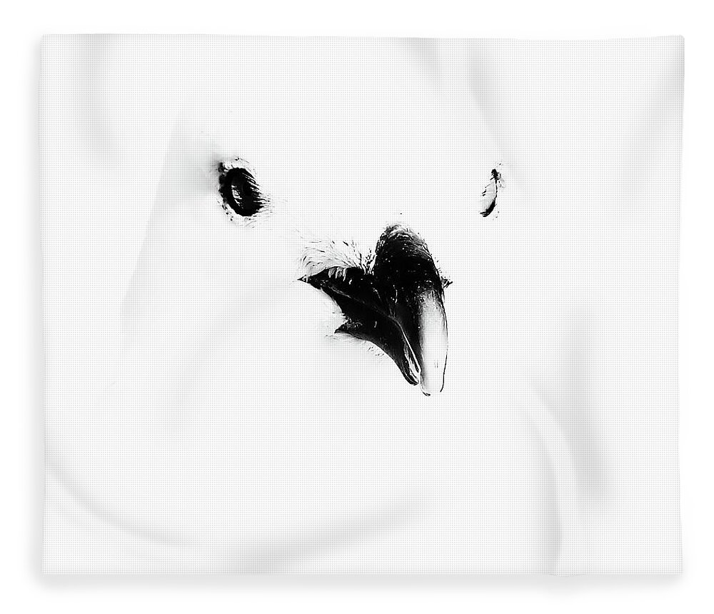 Black And White Fleece Blanket featuring the photograph Seagull Art by Darius Aniunas