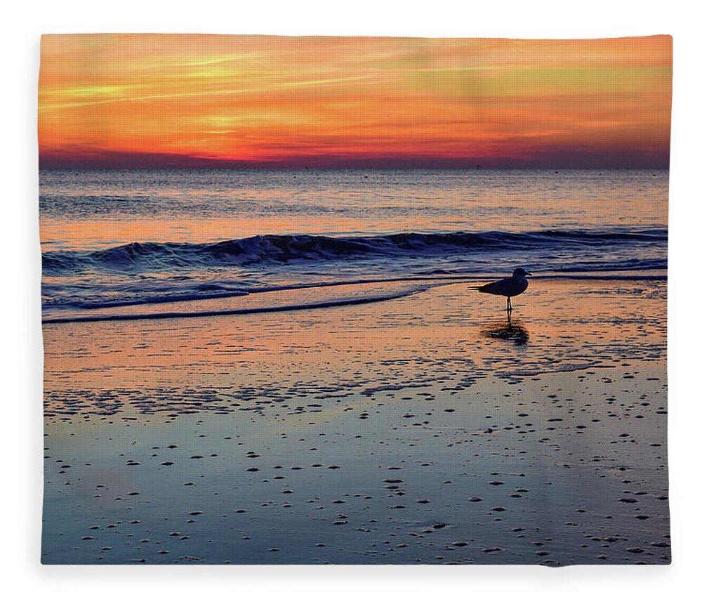 Beach Fleece Blanket featuring the photograph Seagull at Sunrise by Nicole Lloyd