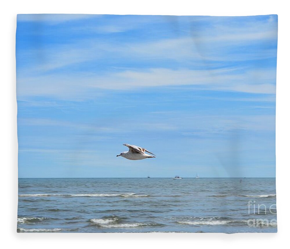 Seagull Fleece Blanket featuring the photograph Seagull in Flight by Dani McEvoy