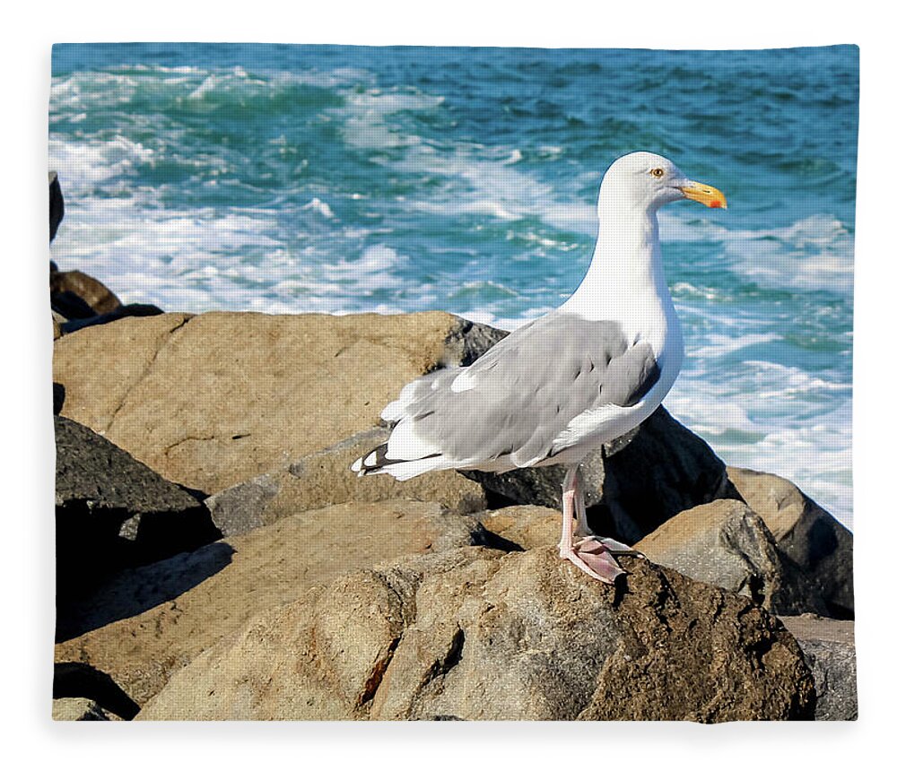 Seagull Fleece Blanket featuring the photograph Seagull on Jetty by Alison Frank