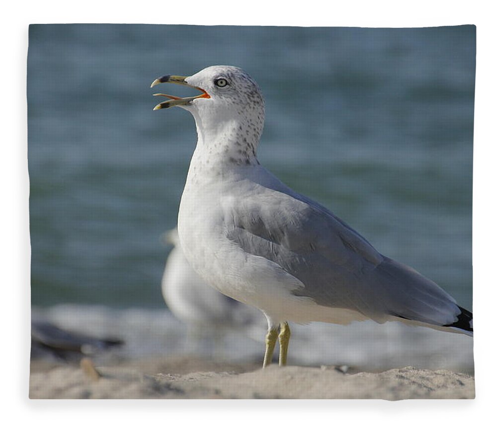 Seagull Fleece Blanket featuring the photograph Seagull on Lake Erie Beach by Valerie Collins