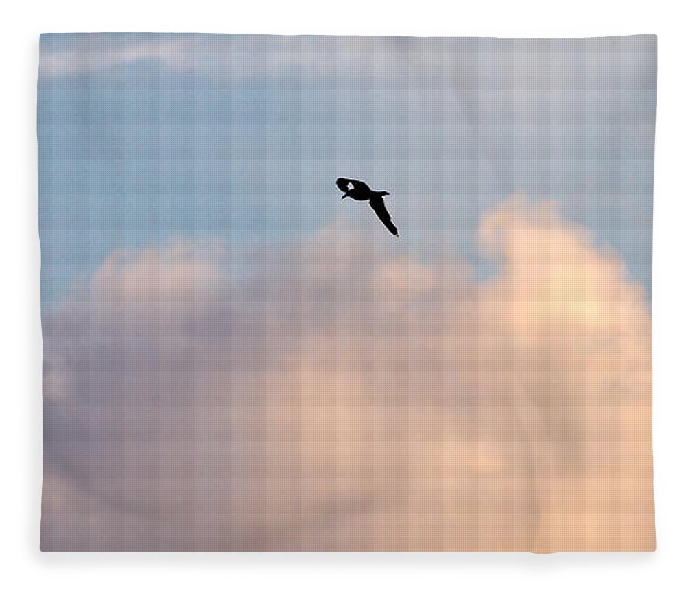 Lehtokukka Fleece Blanket featuring the photograph Seagull's sky 3 by Jouko Lehto