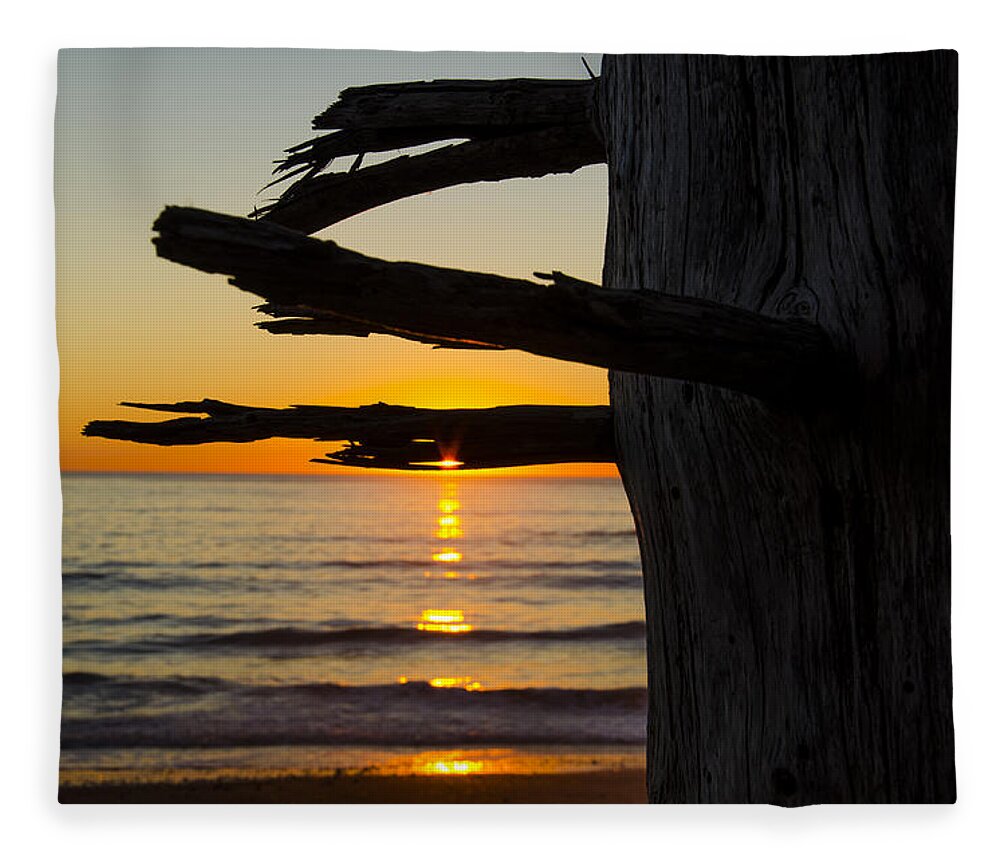 Branch Fleece Blanket featuring the photograph Seaside Tree Branch Sunset by Pelo Blanco Photo