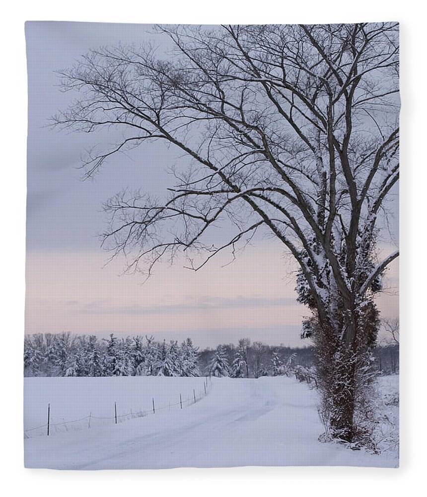 Season's Greetings Fleece Blanket featuring the photograph Season's Greetings- Country Road by Holden The Moment