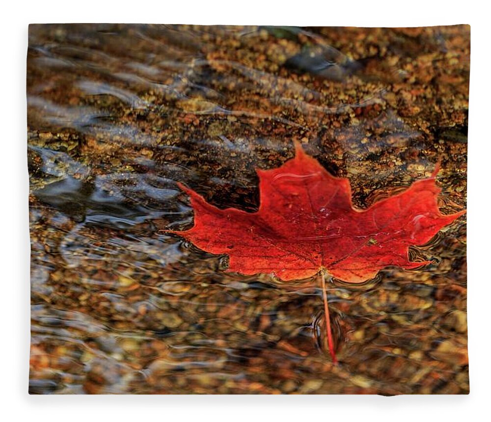 Fall Fleece Blanket featuring the photograph Seasons by Rob Davies
