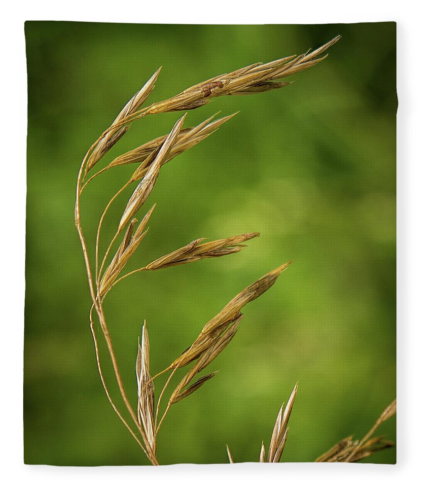 Grass Fleece Blanket featuring the photograph Seedhead by Michael Hall