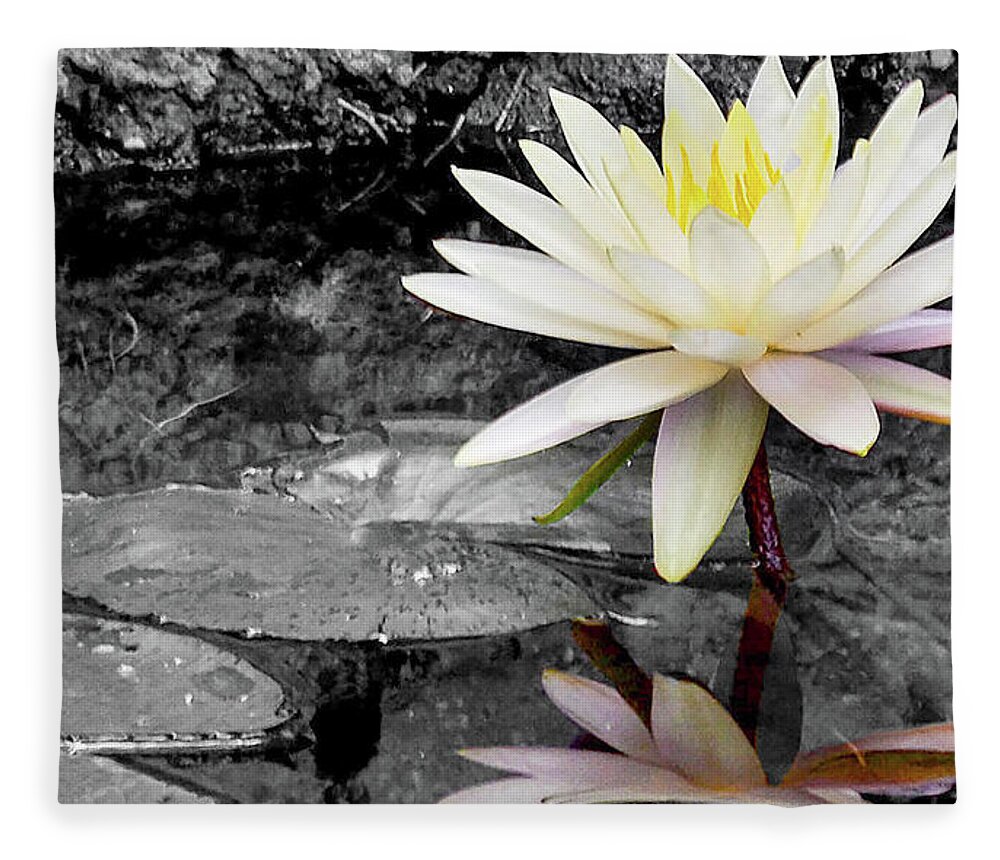 Lotus Fleece Blanket featuring the photograph Self Reflection by Bradley Dever