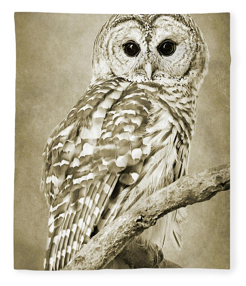 Owl Fleece Blanket featuring the photograph Sepia Owl by Christina Rollo