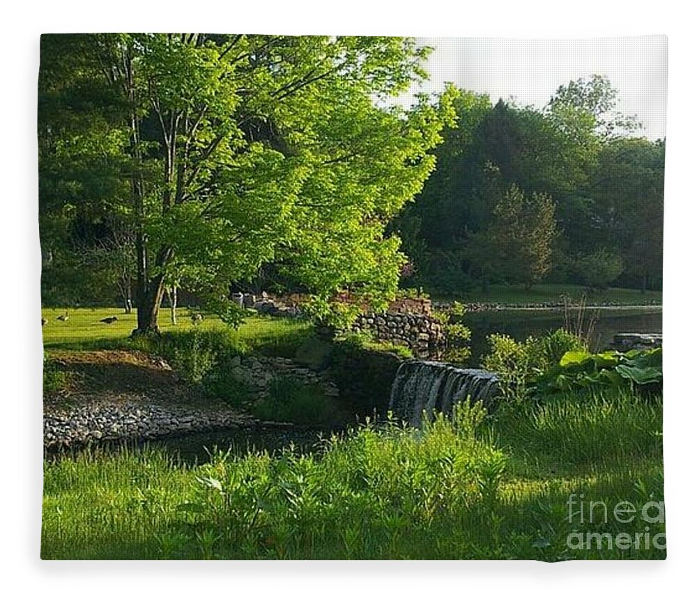 Landscape Fleece Blanket featuring the photograph Serenity by Dani McEvoy