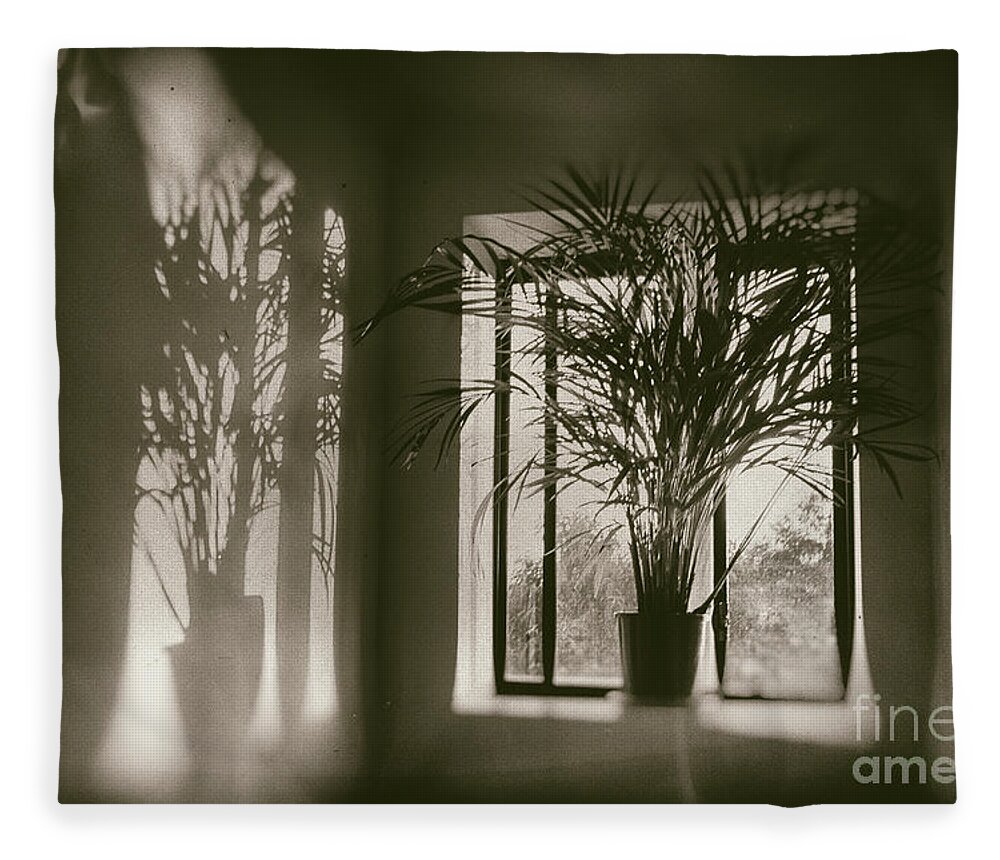 Plant Fleece Blanket featuring the photograph Shadows Dance Upon the Wall by Linda Lees
