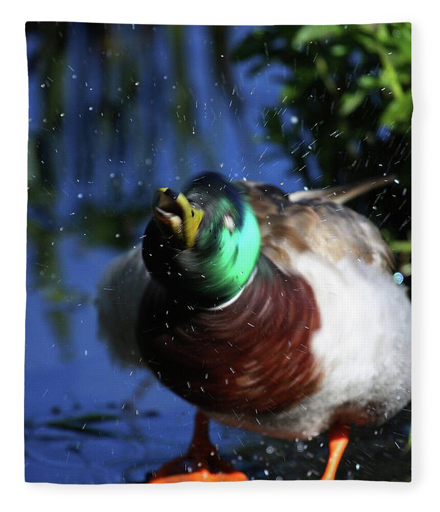 Duck Fleece Blanket featuring the photograph Shake it Off by Karol Livote