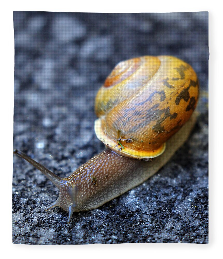 Snail Fleece Blanket featuring the photograph Shell Shock by Jennifer Robin