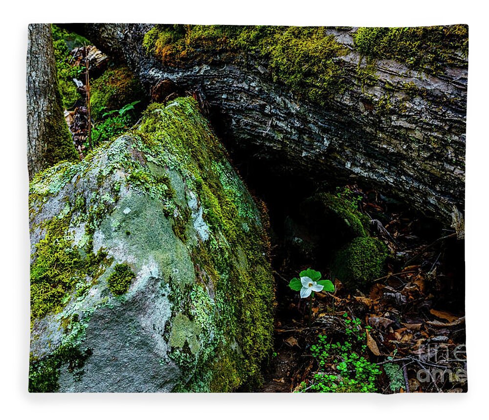 Dwarf White Trillium Fleece Blanket featuring the photograph Sheltered by the Rock by Thomas R Fletcher