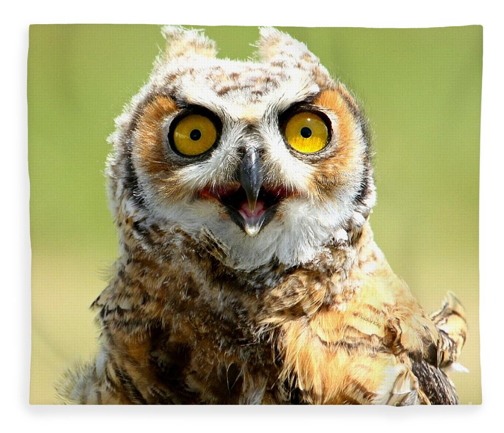 Owl Fleece Blanket featuring the photograph Shock value by Heather King
