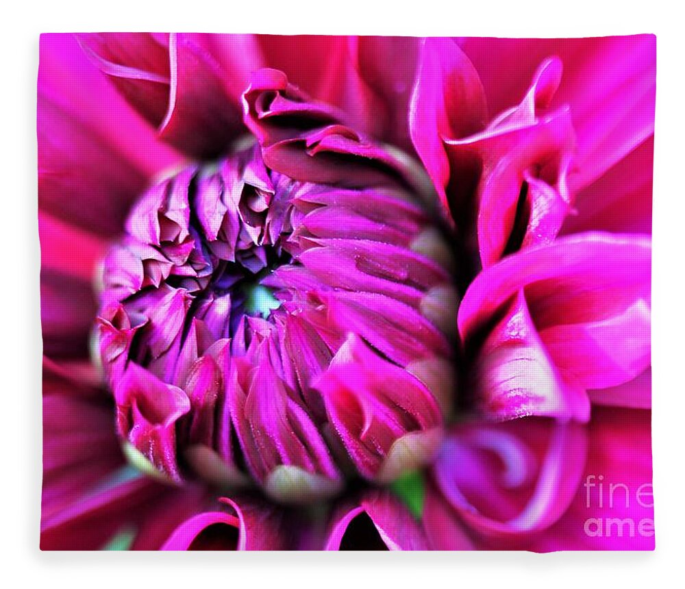 Bright Pink Fleece Blanket featuring the photograph Shocking Pink Dahlia 1 by Tracey Lee Cassin