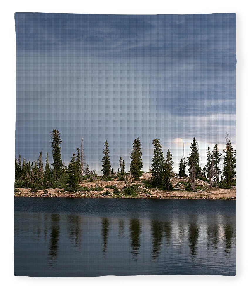 Landscape Fleece Blanket featuring the photograph Shoreline Pine Trees and Storm by Brett Pelletier