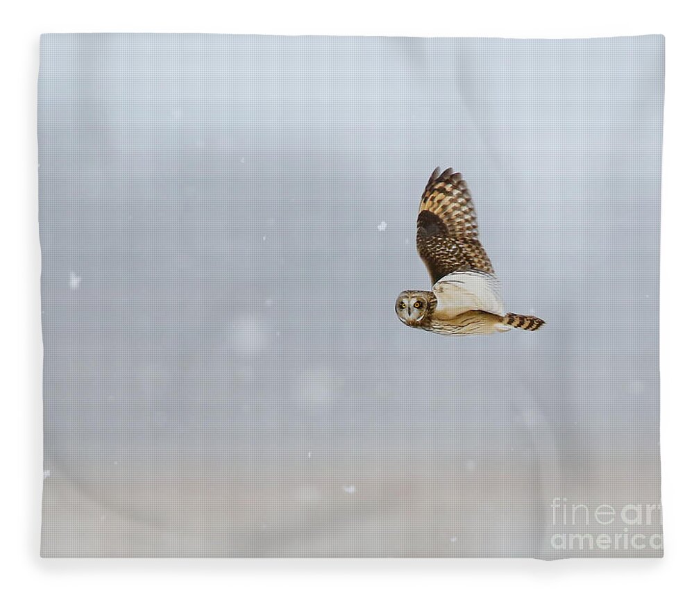 Owls Fleece Blanket featuring the photograph Short Eared Owl In The Snow Storm by Heather King