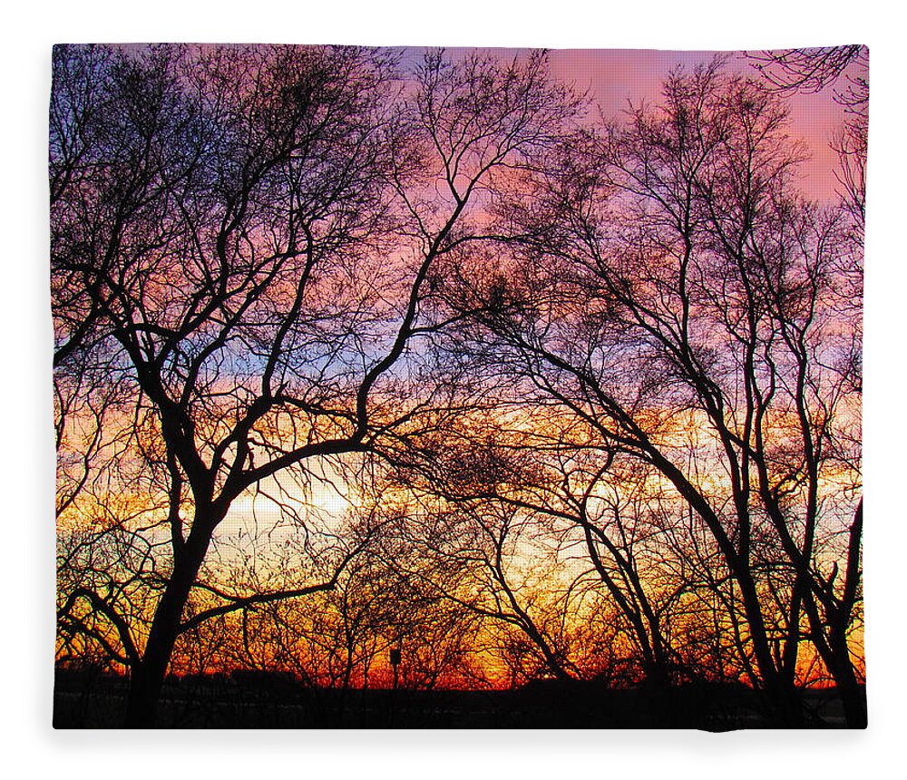 Photograph Fleece Blanket featuring the photograph Silhouette Sunset 43017 by Delynn Addams