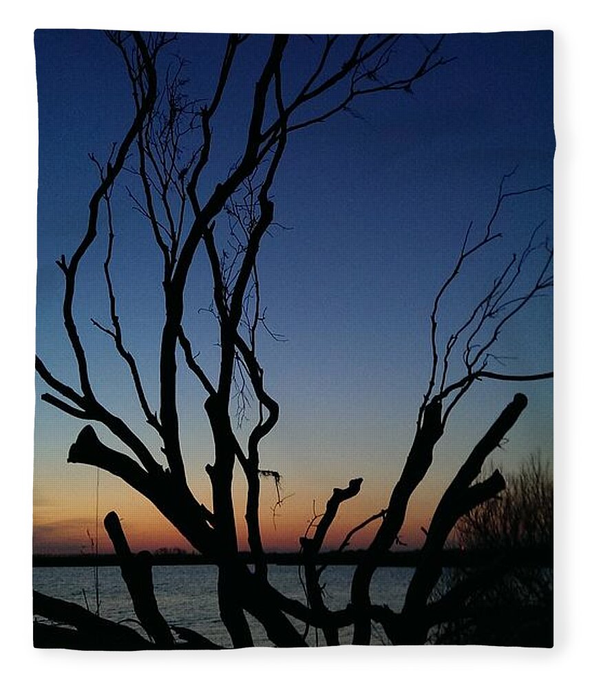 Back Fleece Blanket featuring the photograph Silhouetted Twilight by Liza Eckardt
