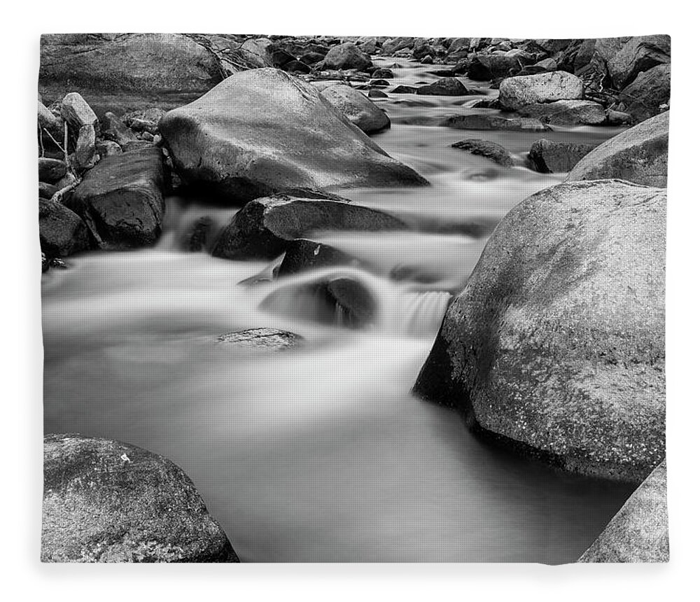 Monochrome Fleece Blanket featuring the photograph Silky Texture and Tones by James BO Insogna