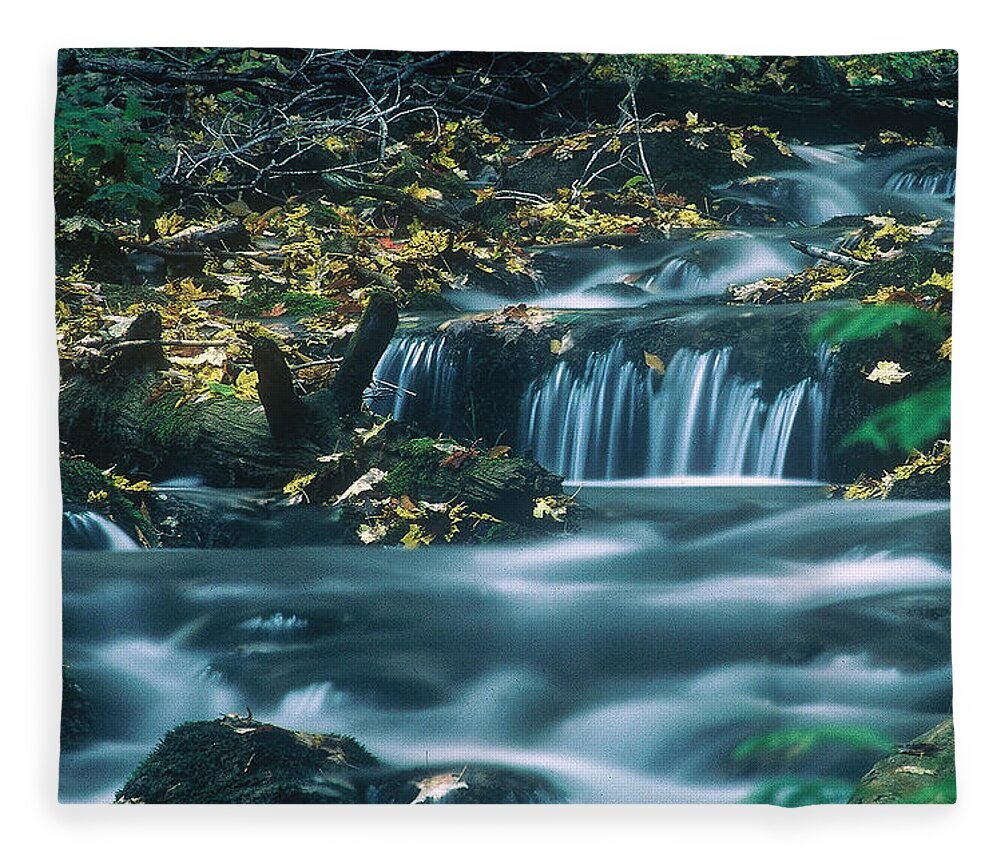 Creek Fleece Blanket featuring the photograph Silver Creek by DArcy Evans