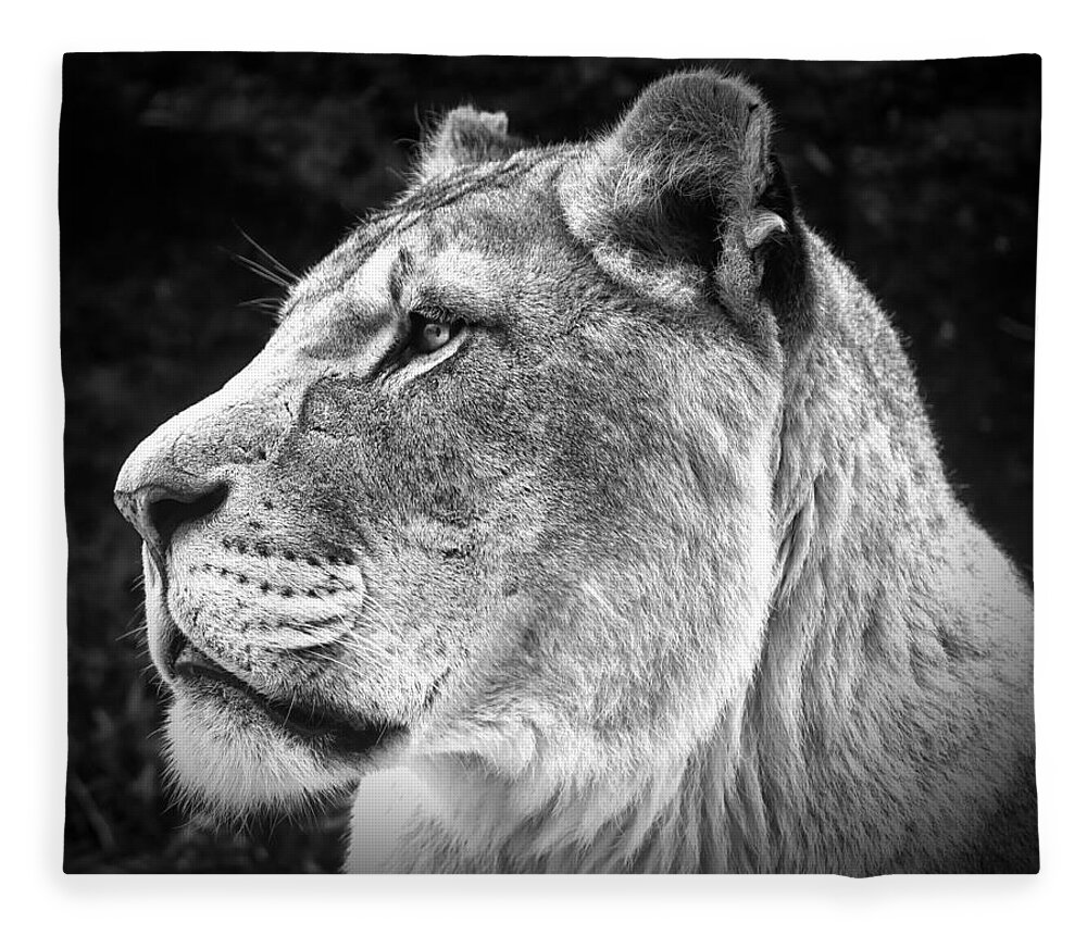 Photo Fleece Blanket featuring the photograph Silver Lioness by Chris Boulton