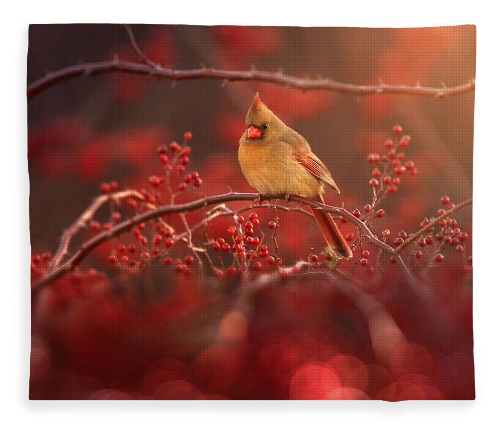 Cardinal Fleece Blanket featuring the photograph Simple Beauty by Rob Blair