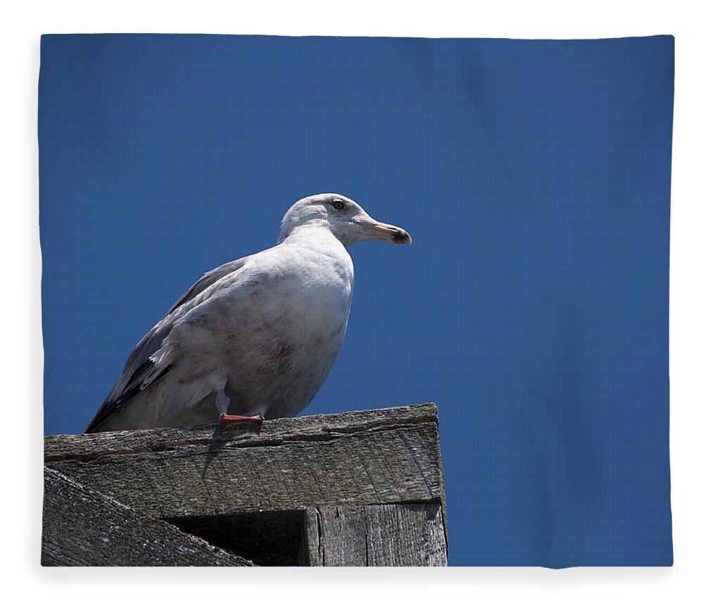 Dock Fleece Blanket featuring the photograph Sitting by the Dock of the Bay by Steven Natanson