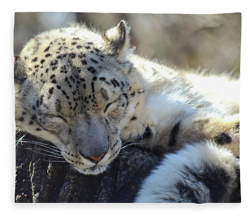 Snow Leopard Fleece Blanket featuring the photograph Sleeping Snow Leopard by Holly Ross