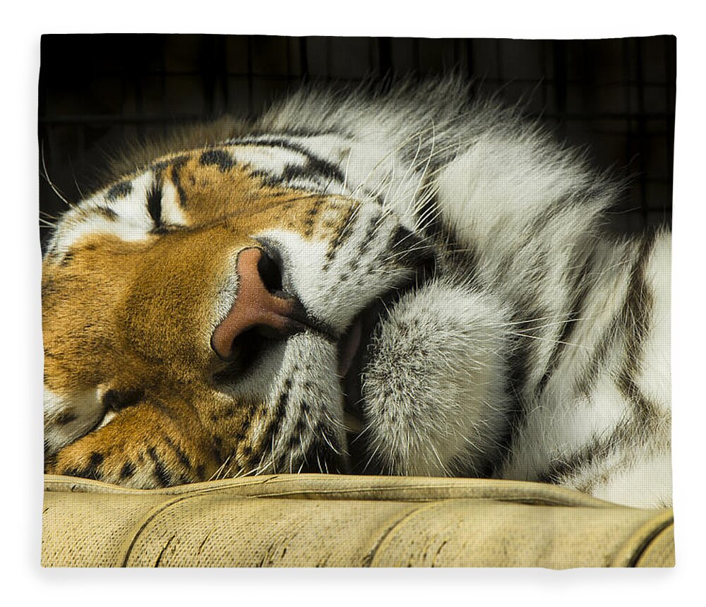 Tiger Fleece Blanket featuring the photograph Sleeping Tiger by Bill Cubitt