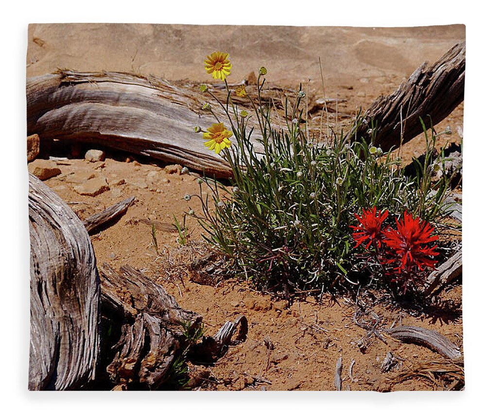 Canyonlands Fleece Blanket featuring the photograph Slickrock Trail Paintbrush by Amelia Racca