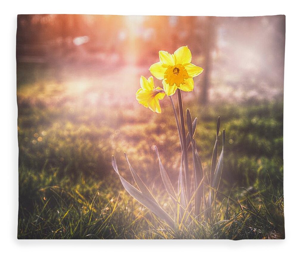 Daffodil Fleece Blanket featuring the photograph Smell of the March 2 by Jaroslav Buna