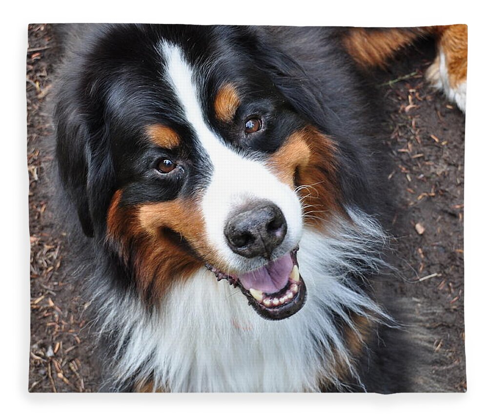 Outside Fleece Blanket featuring the photograph Smiling Bernese Mountain Dog by Pelo Blanco Photo